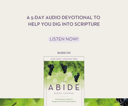 Abide Bible Course: Five Practices You Can Use to Engage With the Bible