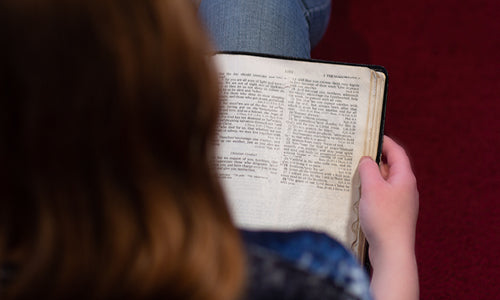 Youth Pastors: Help Your Young Adults Understand and Love the Bible
