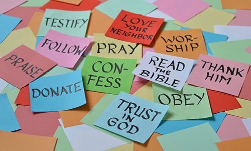 Steal This Idea: New Year, New Resolution to Read the Bible Every Day