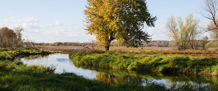 What is Wrong with the World?