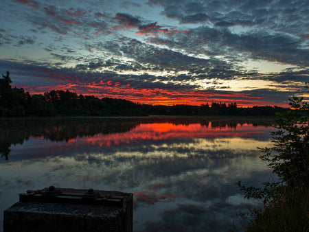 Finding Trust in the Dark Before the Dawn