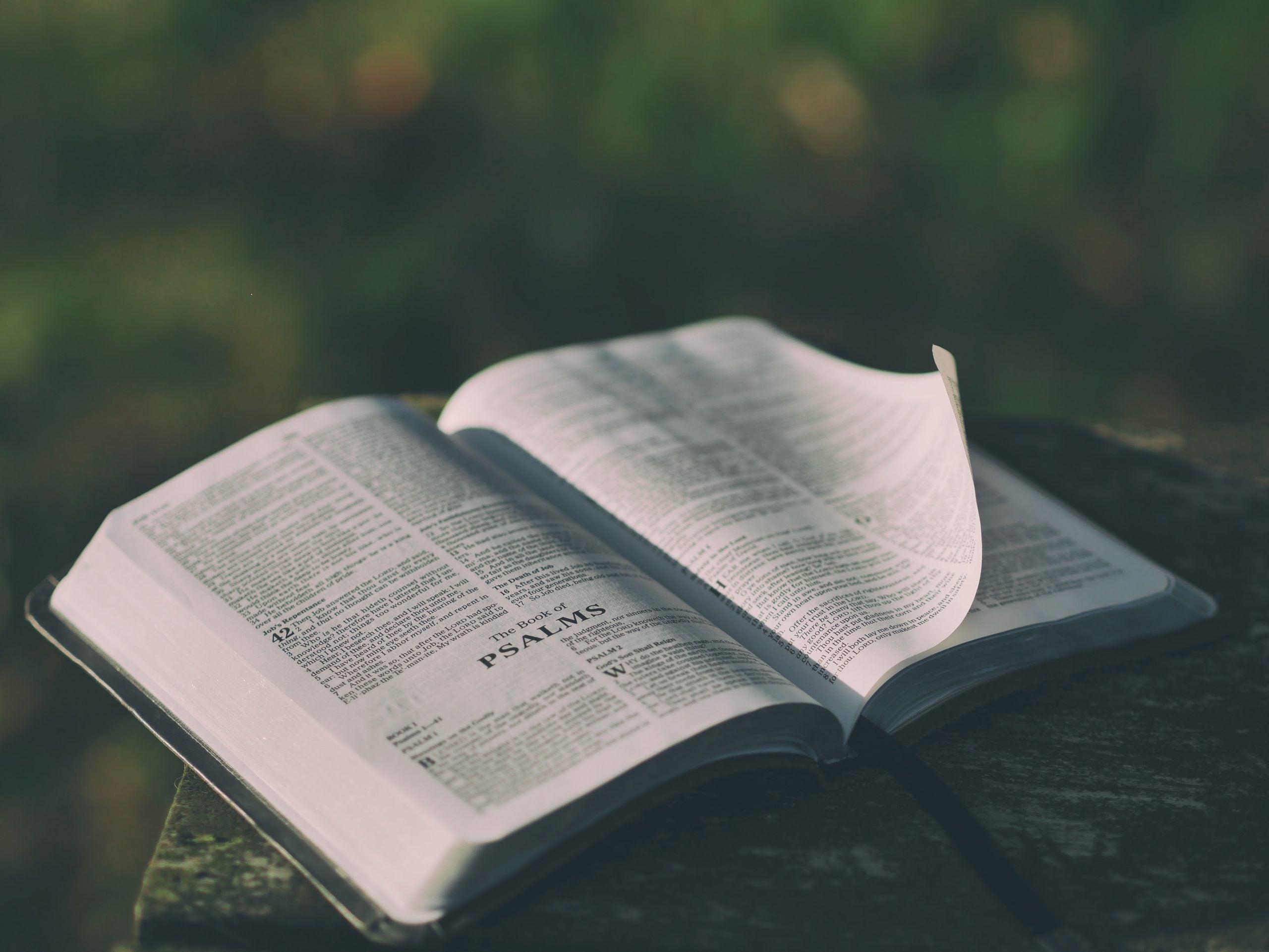 The Adventure of the Book of Psalms | Sandra Richter