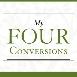 Emotionally Healthy Church - My Four Conversions