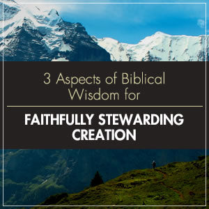 How Can We Steward Creation Faithfully? Here are 3 Aspects of Biblical Wisdom