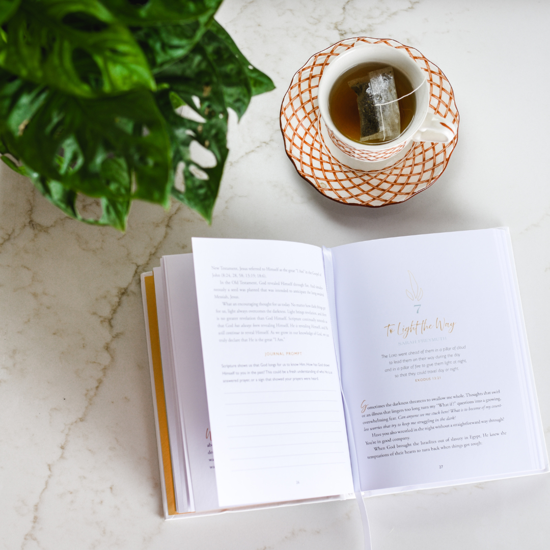 Let In the Light: 50 Devotions to Confidently Know God Is Good and Guiding Your Steps