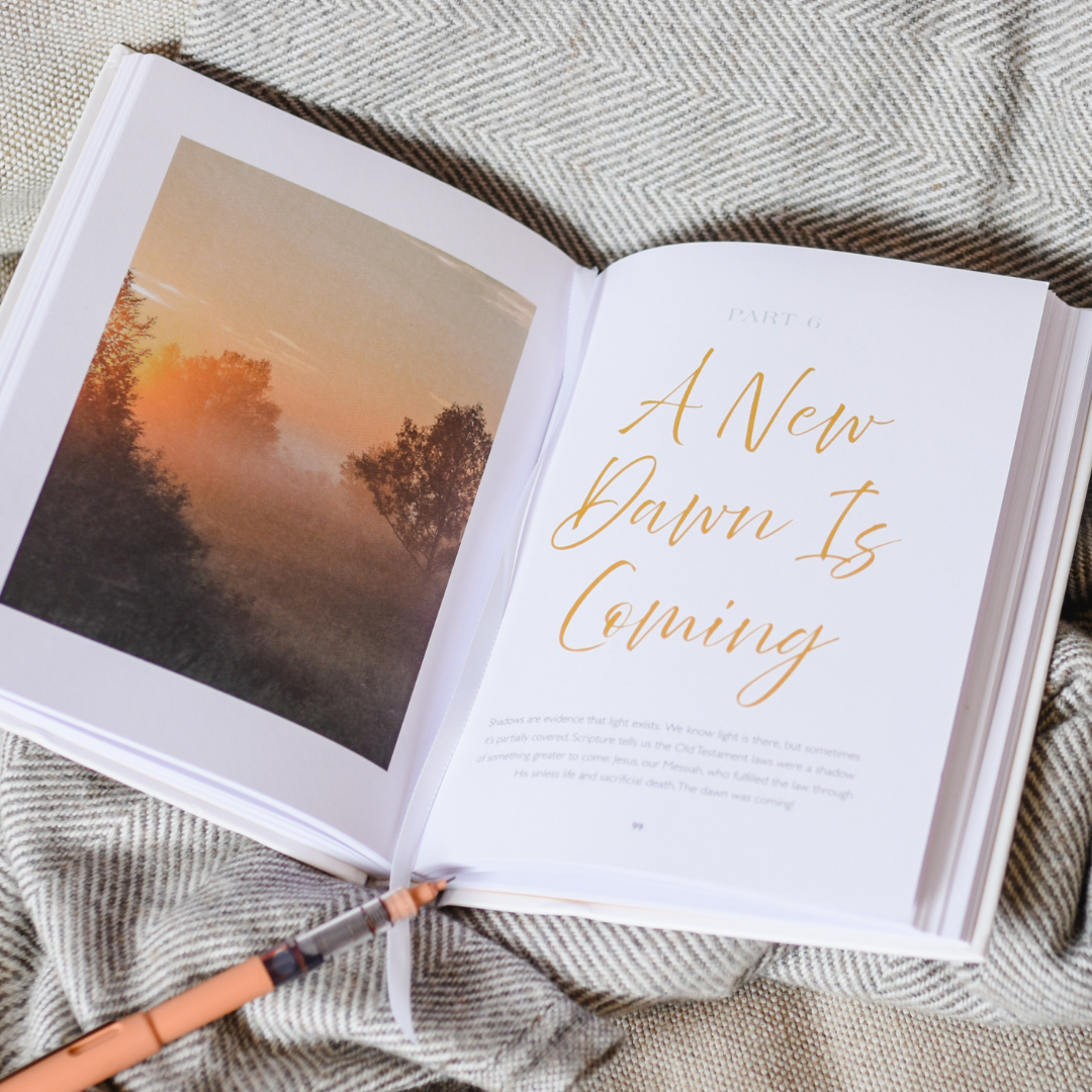 Let In the Light: 50 Devotions to Confidently Know God Is Good and Guiding Your Steps