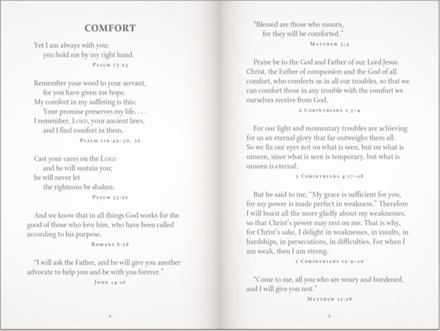 God's Promises for Graduates: Class of 2026 - Gold NIV: New International Version (The Perfect Christian Graduation Gift to Celebrate Your Grad)