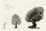 If the Tree Could Speak: The Story of the Cross That Saw It All