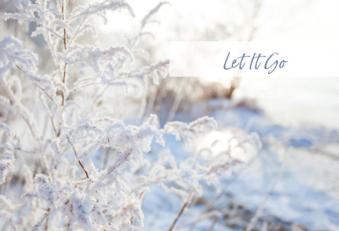 The Stress Less Devotional: 100 Days to Embrace Rest and Rejuvenate Your Soul