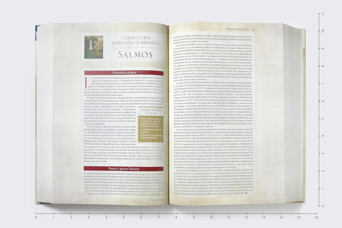 RVR, Biblia de estudio trasfondo cultural (El contexto lo cambia todo), Interior a color, Comfort Print: Explora el mundo antiguo de la Escritura