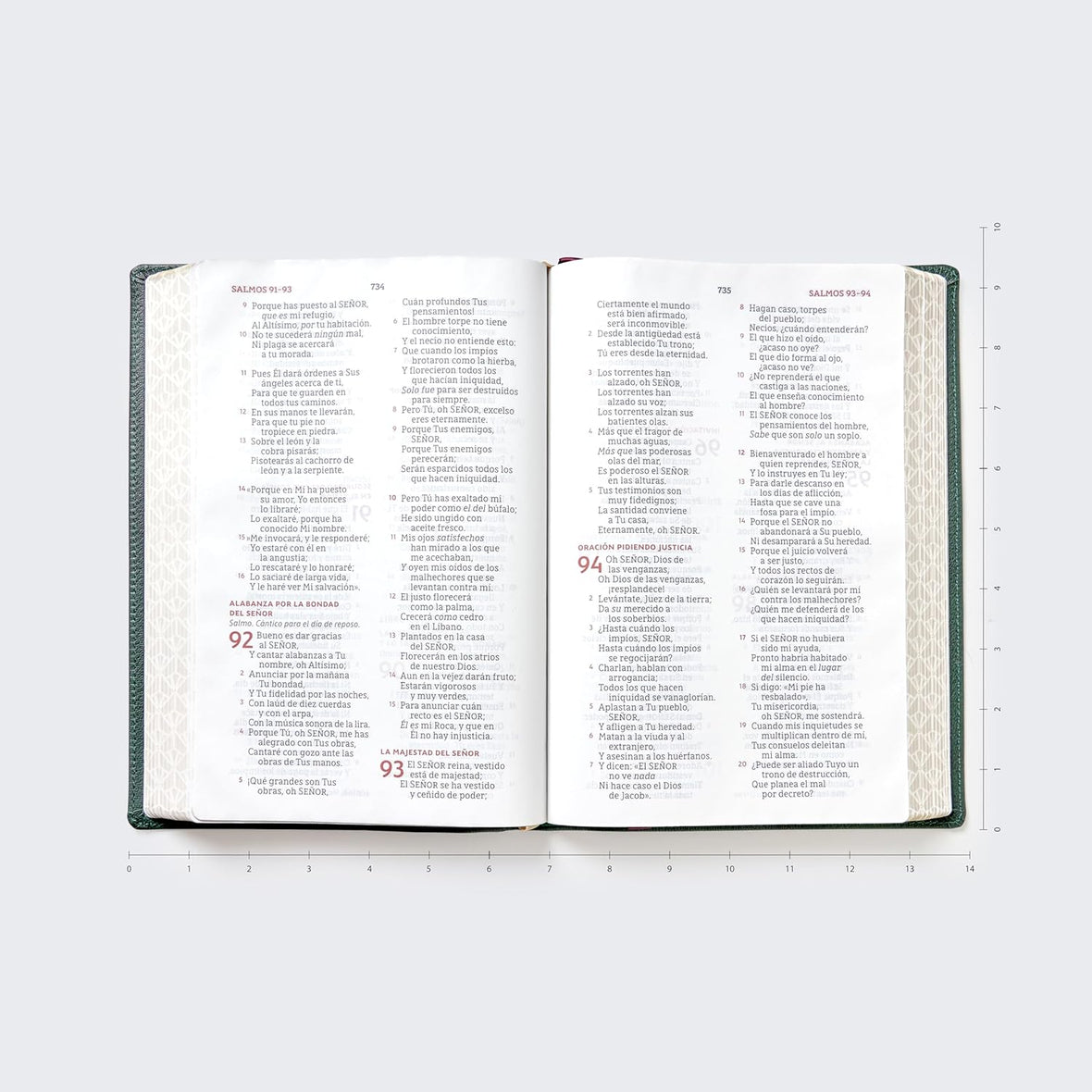 NBLA, Biblia para la lectura pública, Versificada, Letra gigante, Piel de cabra: Para quienes se deleitan en compartir Su Palabra