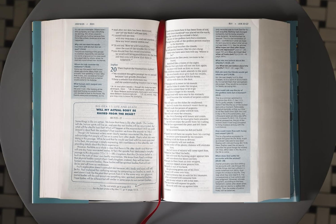 NIV, Quest Study Bible for Teens, Comfort Print: The Question and