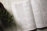 Persian Contemporary Bible, Paperback, Green