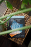 God Won't Leave You There Bible Study Guide plus Streaming Video: A Bible Study on the Life of Joseph