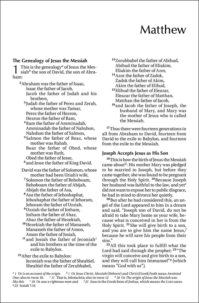 NIV, Outreach New Testament, Large Print, Paperback, Case of 50 Bundle
