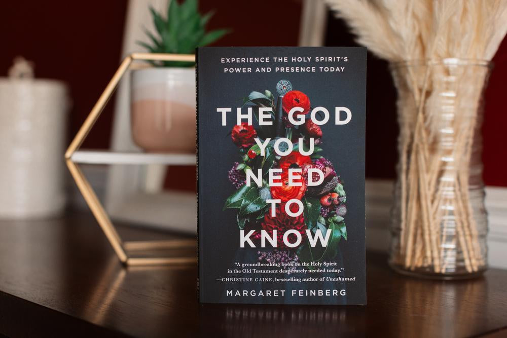 The God You Need to Know: Experience the Holy Spirit's Power and Presence Today