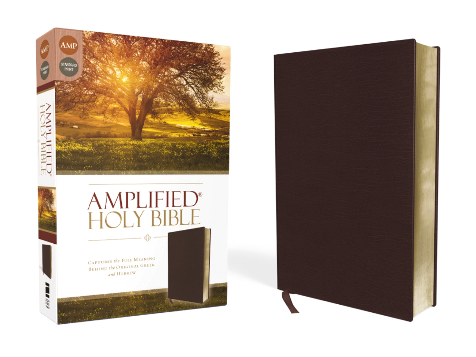 Amplified Holy Bible: Captures the Full Meaning Behind the