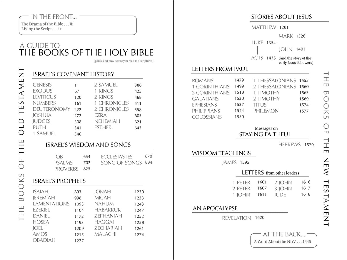 NIrV, Free on the Inside Bible, Large Print, Paperback, Case of 20 (Bundle)