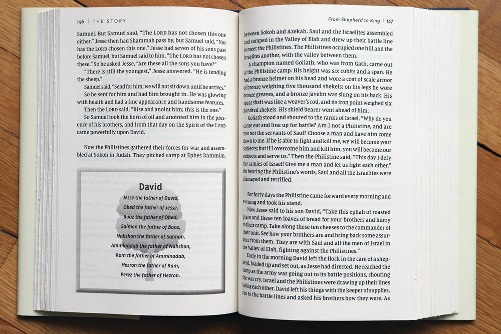 NIV, The Story, Hardcover, Comfort Print: Case of 16 Bundle