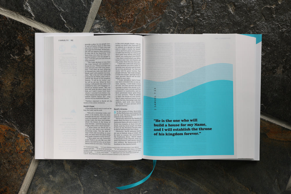 How to Read the Bible Telos Bundle