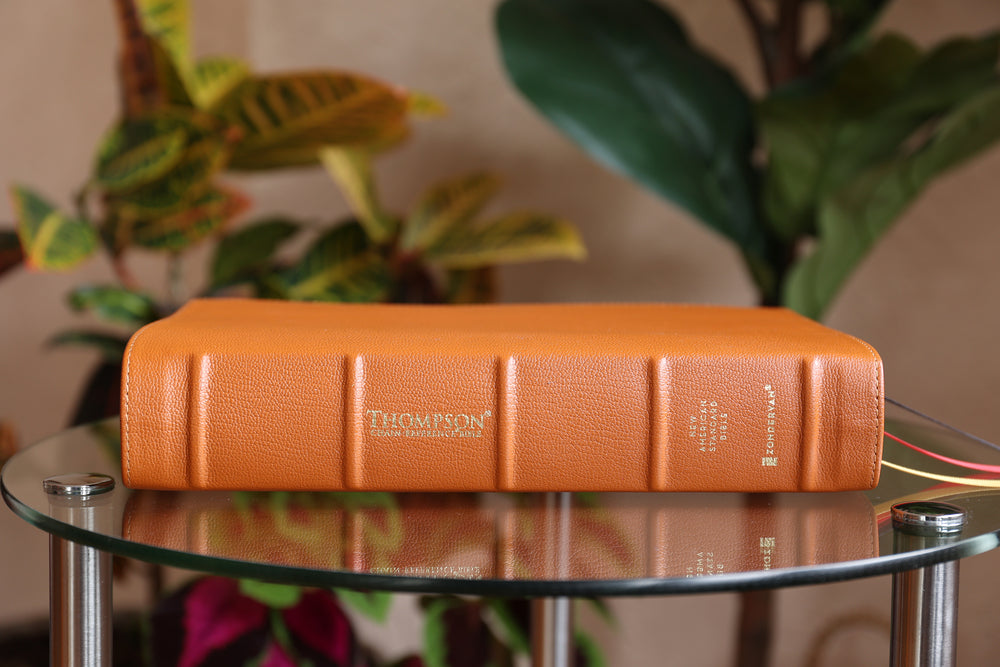 NASB, Thompson Chain-Reference Bible, Premium Goatskin Leather, Premier Collection, Tan, 1995 Text, Black Letter, Art Gilded Edges, Comfort Print