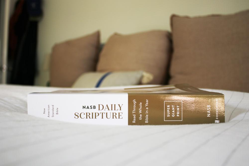 NASB, Daily Scripture, Super Giant Print, Paperback, White/Gold, 1995 Text, Comfort Print: 365 Days to Read Through the Whole Bible in a Year