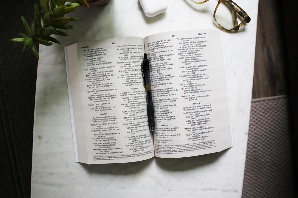 NIV, Holy Bible, Larger Print, Economy Edition, Paperback, Case of 18 Bundle