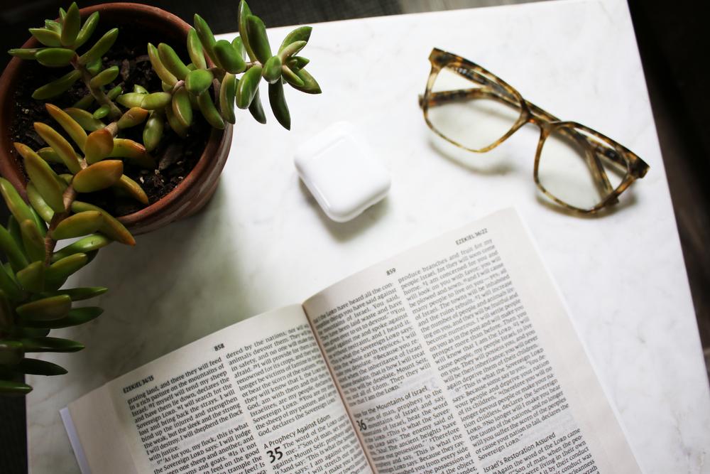 NIV, Holy Bible, Larger Print, Economy Edition, Paperback, Case of 18 Bundle