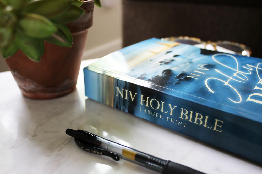 NIV, Holy Bible, Larger Print, Economy Edition, Paperback, Blue, Case of 24, Comfort Print