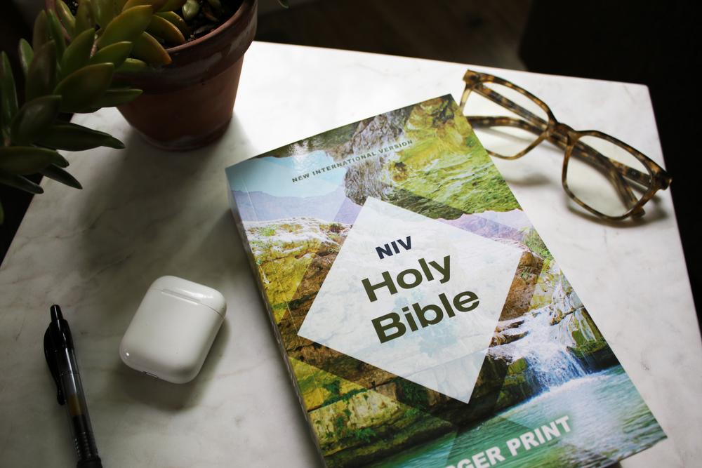 NIV, Holy Bible, Larger Print, Economy Edition, Paperback, Case of 18 Bundle