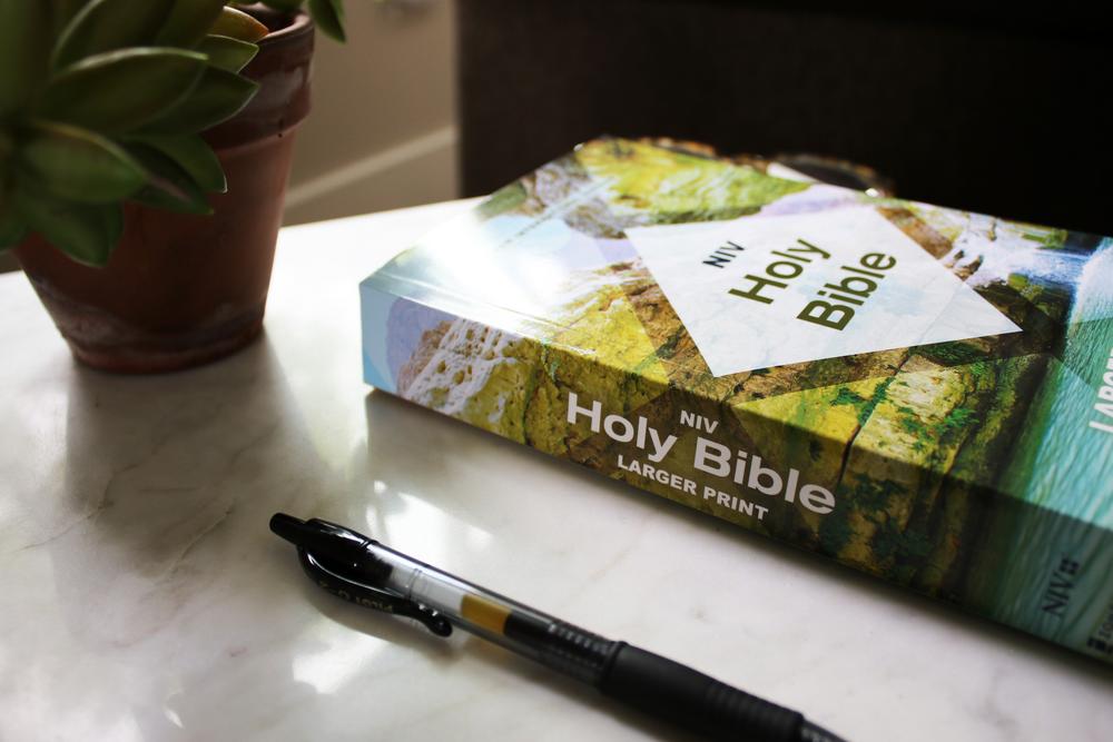 NIV, Holy Bible, Larger Print, Economy Edition, Paperback, Case of 18 Bundle