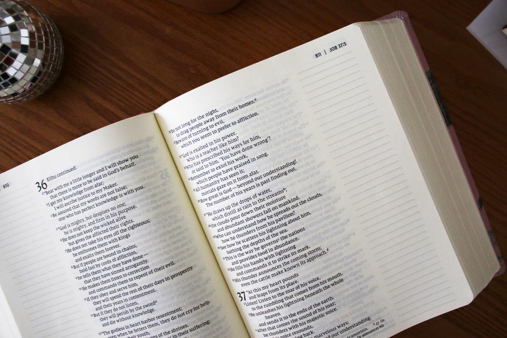 NIV, Artisan Collection Bible, Large Print, Red Letter, Comfort Print