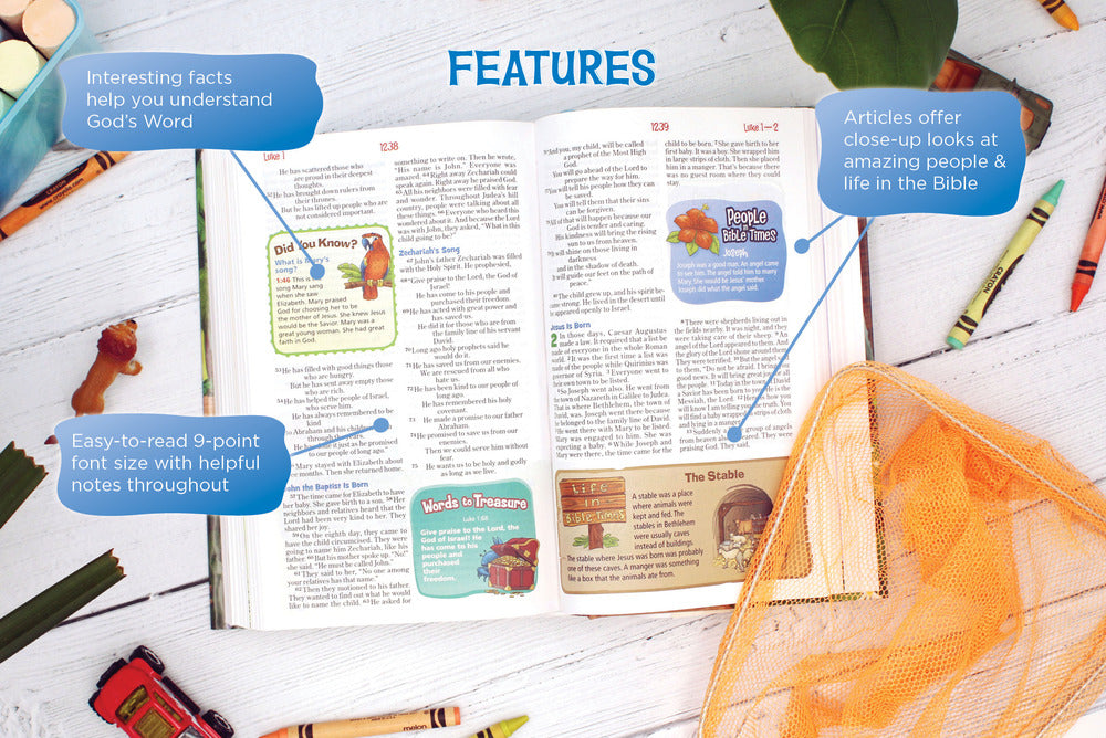 NIrV, Adventure Bible, Softcover, Full Color, Case of 12 Bundle