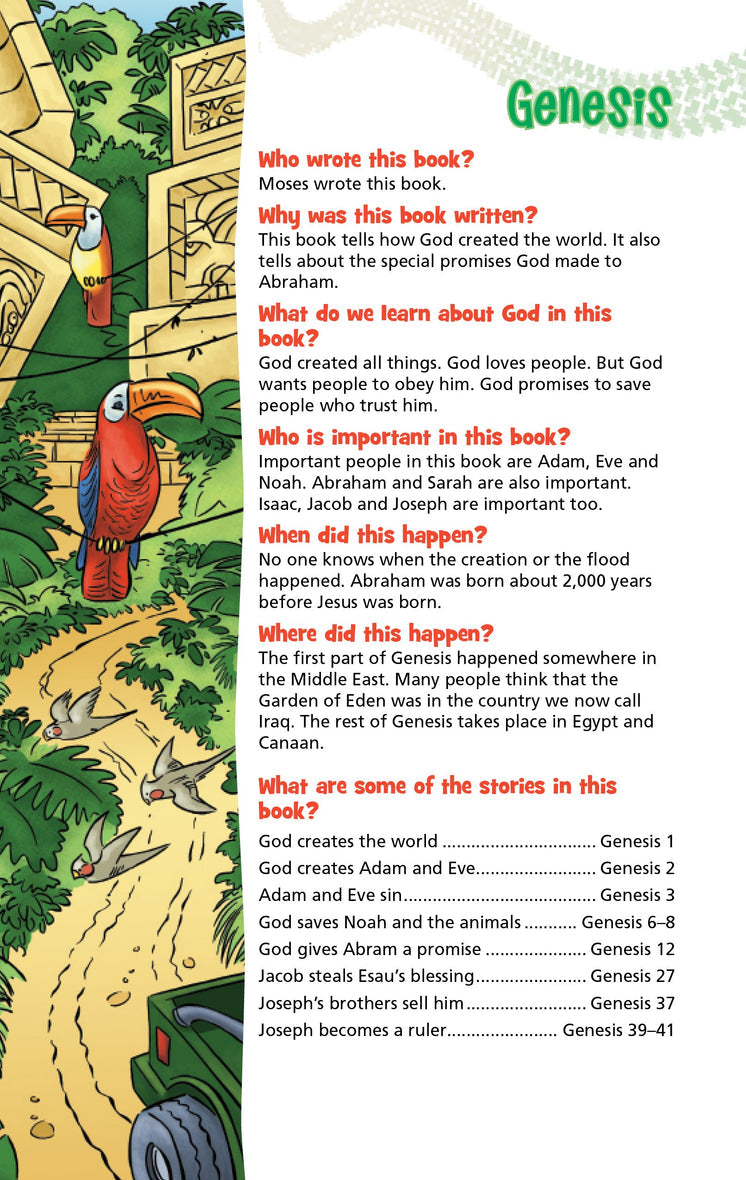 NIrV, Adventure Bible, Softcover, Full Color, Case of 12 Bundle