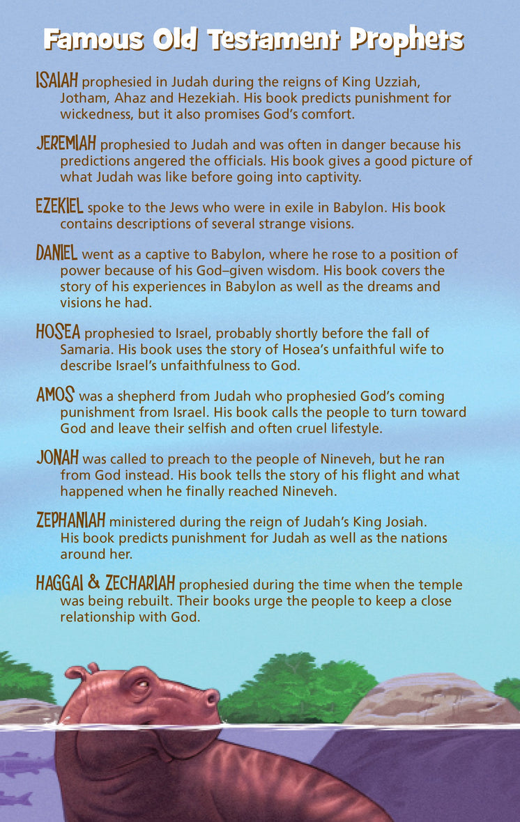NIrV, Adventure Bible, Softcover, Full Color, Case of 12 Bundle