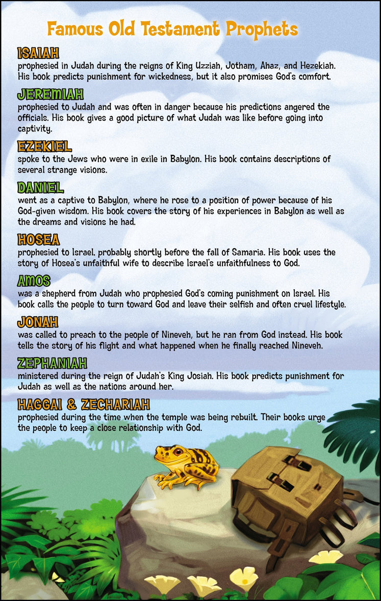 NIV, Adventure Bible, Hardcover, Full Color, Case of 12 Bundle