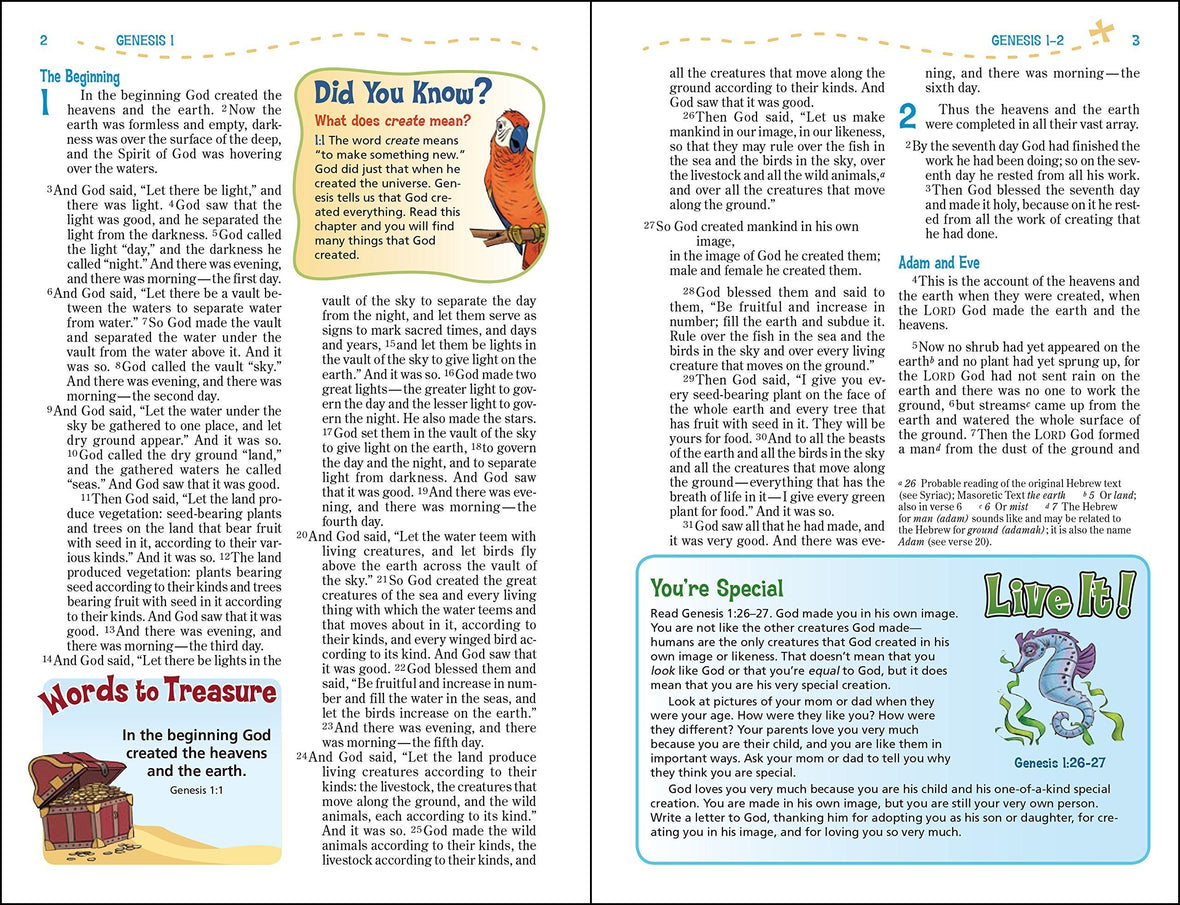 NIV, Adventure Bible, Hardcover, Full Color, Case of 12 Bundle