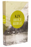 KJV, Value Outreach Bible, Paperback, Case of 28 Bundle (Classic)