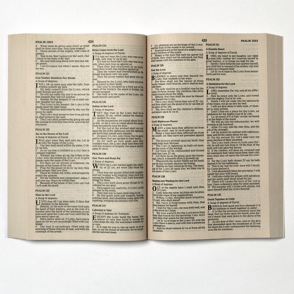 KJV, Value Outreach Bible, Paperback, Case of 28 Bundle (Classic)