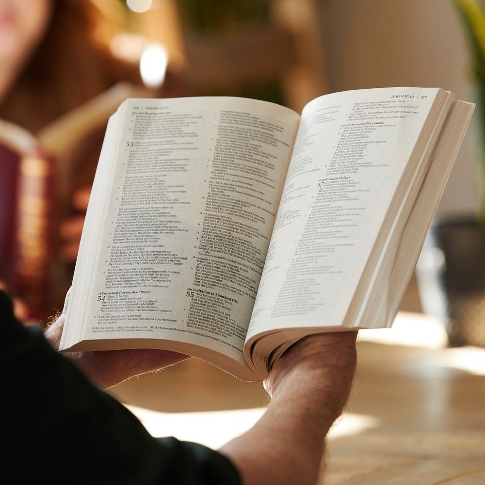 NKJV, Value Outreach Bible: Holy Bible, New King James Version Case of 28 Bundle (Urban Scenic)