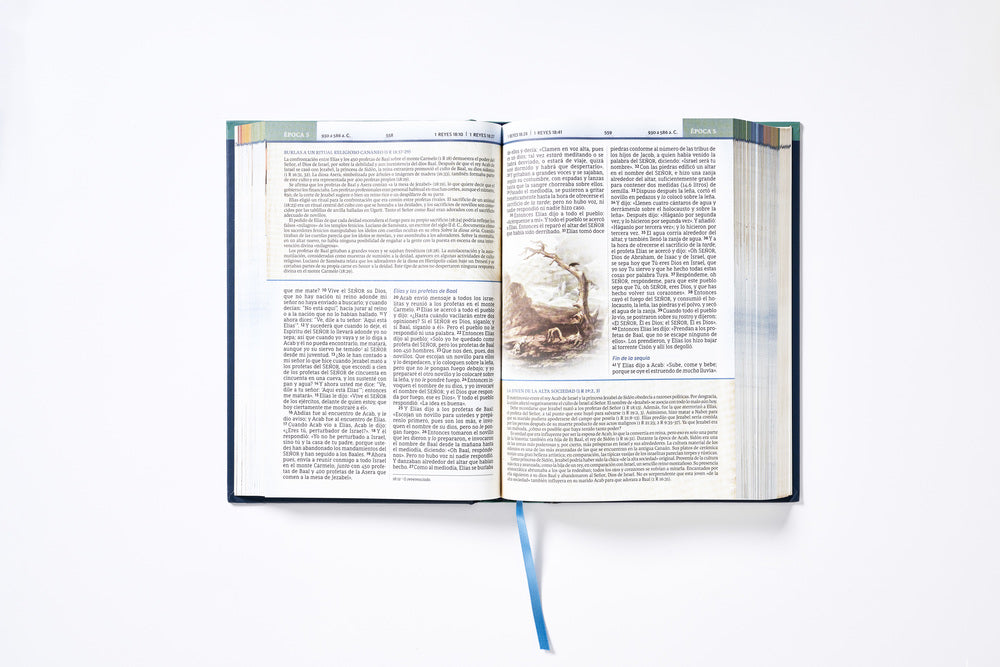 NBLA, Biblia Cronológica de Estudio, Interior a Cuatro Colores