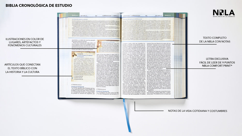 Cuatro　a　NBLA,　–　Biblia　Cronológica　Estudio,　Colores　de　Interior　ChurchSource