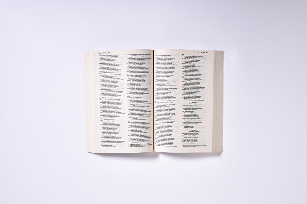 NVI, Santa Biblia Edición Económica, Texto revisado 2022, Tapa Rústica