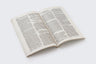 NVI, Nuevo Testamento, Texto Revisado 2022, Tapa Rústica, Paquete Variado (50)