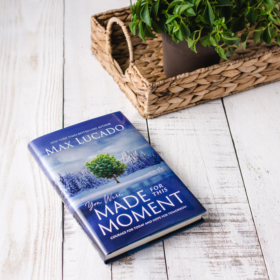 You Were Made for this Moment Study Guide + Book Bundle