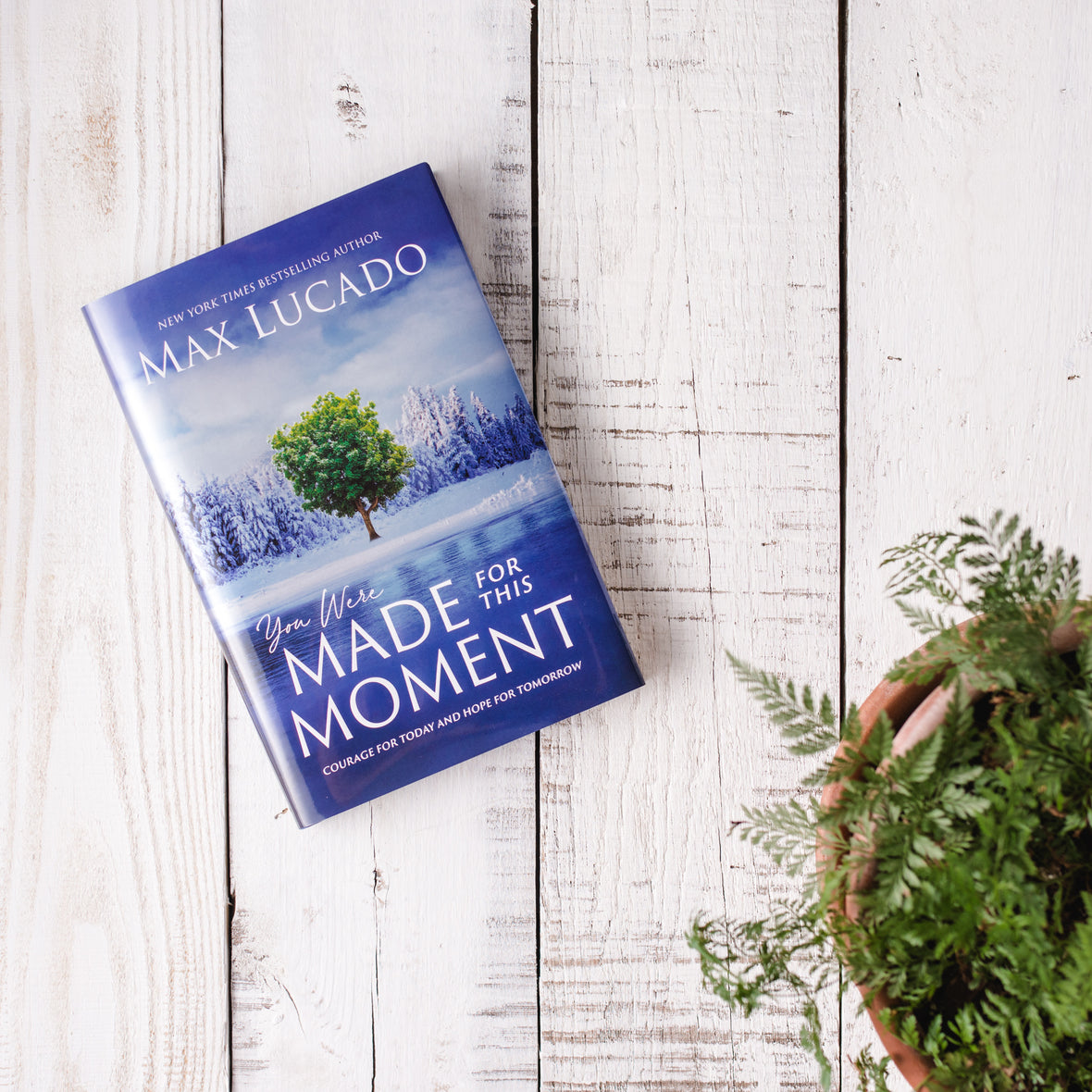 You Were Made for this Moment Study Guide + Book Bundle