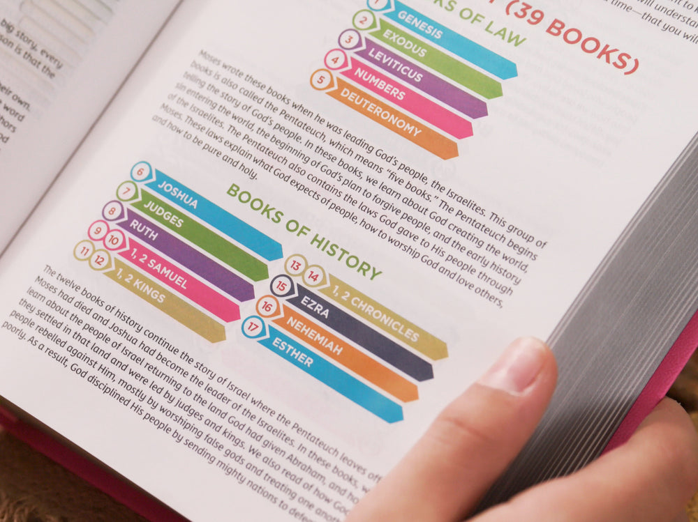 color coded bible the color code bible for kids, nkjv... Color Coded Bible The Color Code Bible For Kids, NKJV Thomas Nelson