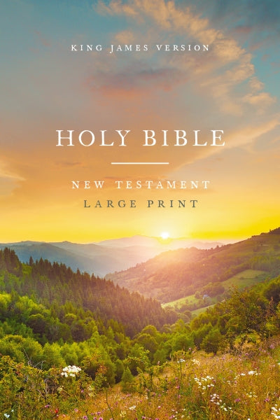 KJV Large Print Outreach New Testament Bible, Scenic Softcover, Comfort Print, Case of 64 Bundle