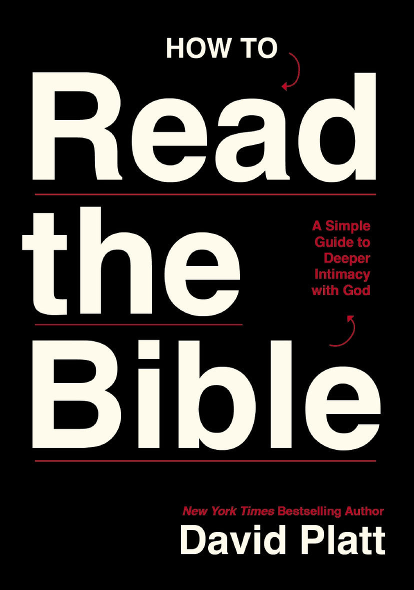 How to Read the Bible + The Open Bible NKJV Bundle