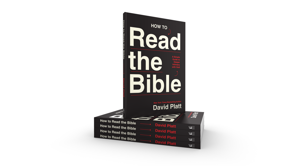 How to Read the Bible 5-Pack Bundle